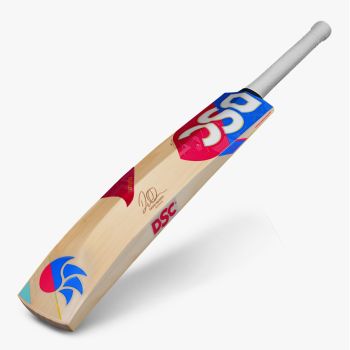 David Warner Cricket Bat (T Twenty Edition)