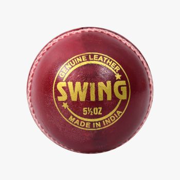 Swing Leather Ball