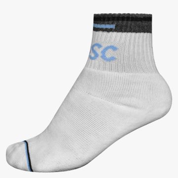 DSC 07 Cricket Socks (White/Sky Blue/Black)