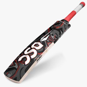 Lava Kashmir Willow Bat