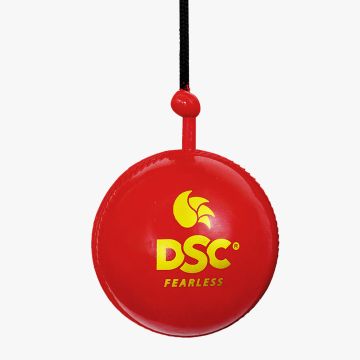 Hanging Synthetic Ball (6 Balls)