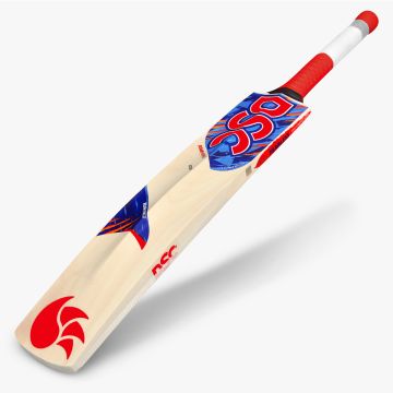 Roar Hunter Kashmir Willow Bat
