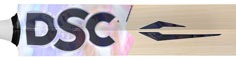 Condor Bats